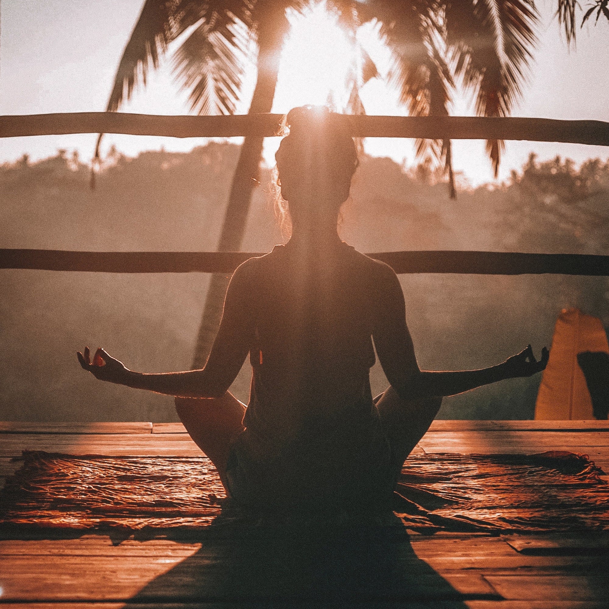 Stress - Nebenniere - Adaptogene