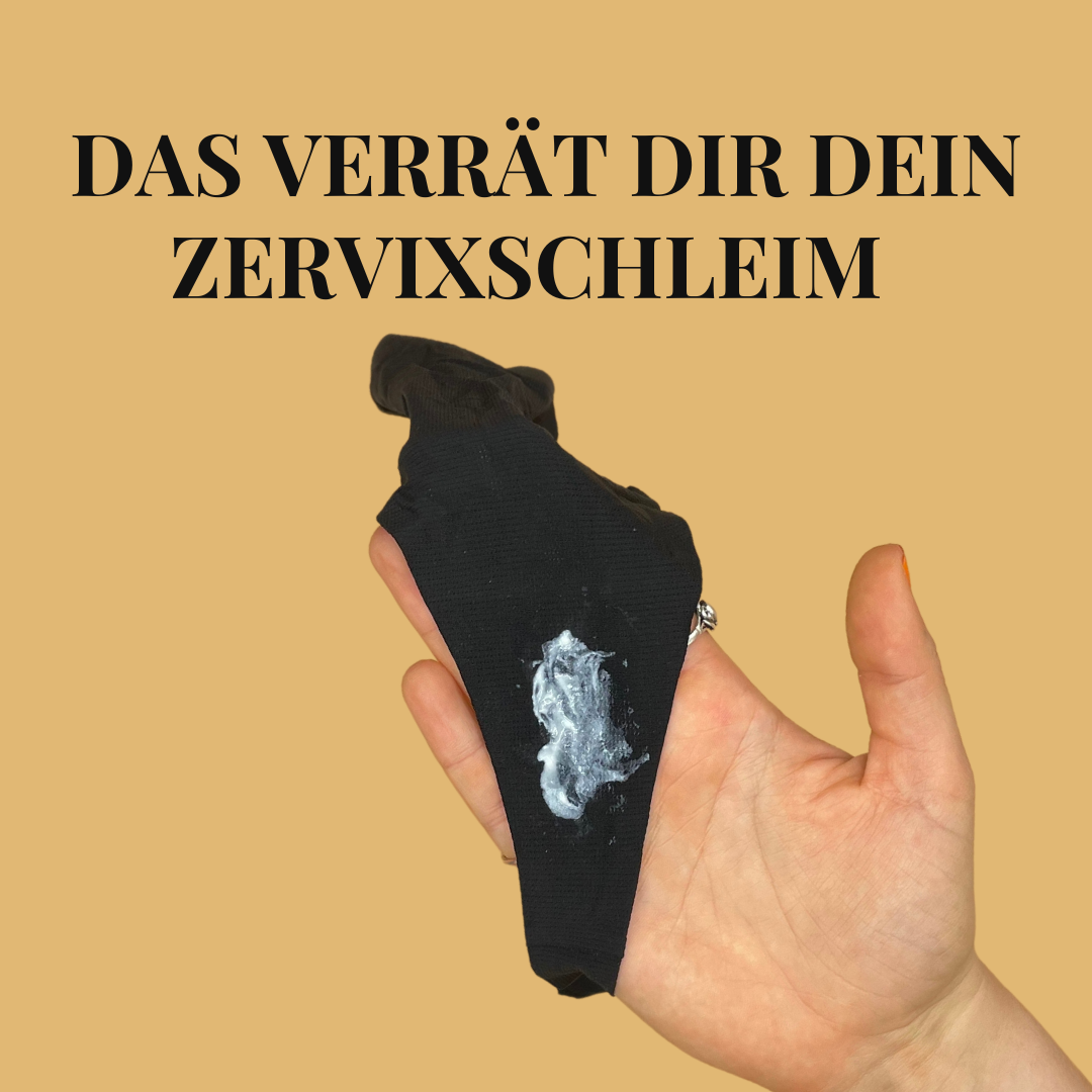 Zervixschleim-im-Zyklus-Bedeutung