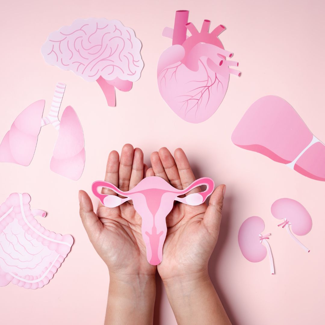 Generisches konjugiertes estrogen