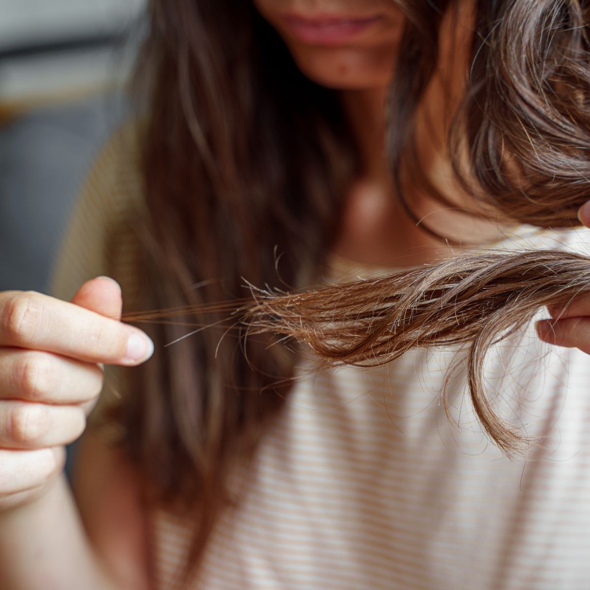 weiblich gelesene Person hält Haarspitzen, ernährung bei haarausfall, was ist gut für die haare