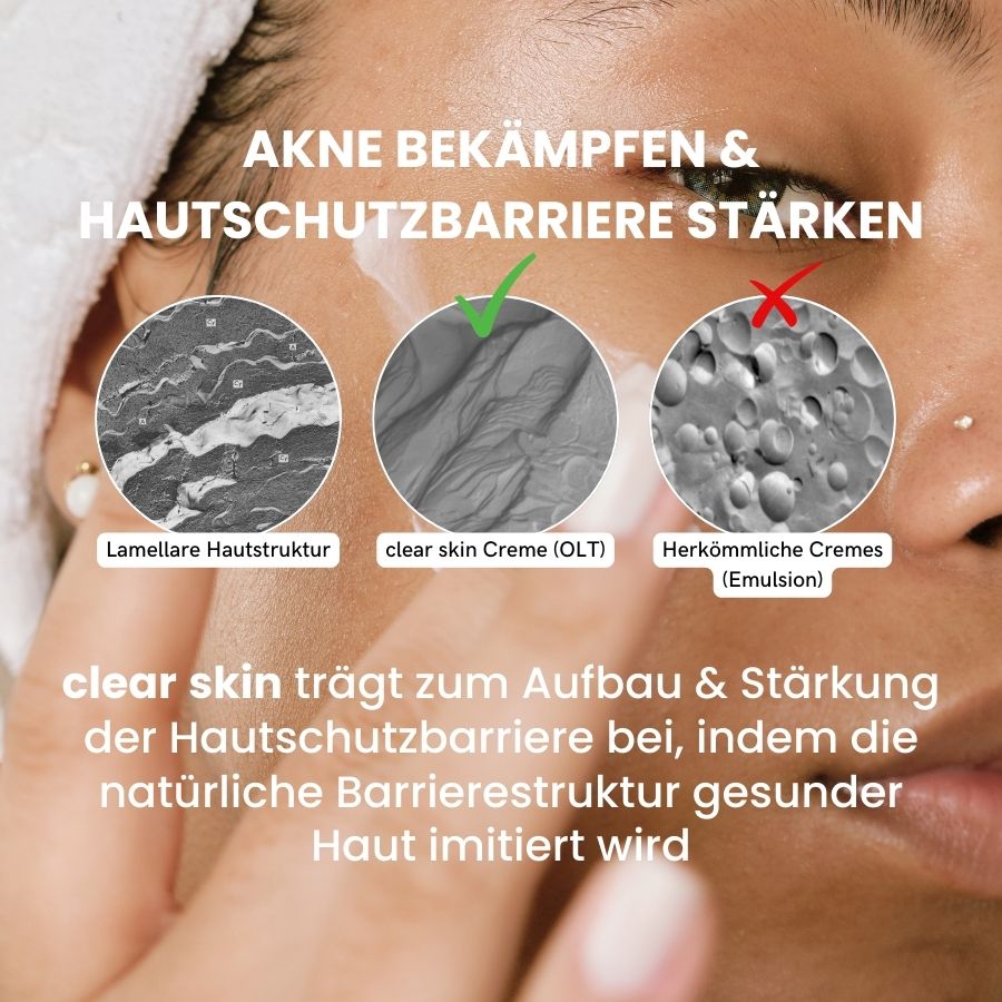 Infographik über Hautstruktur und mikroskopische Struktur von Cremes