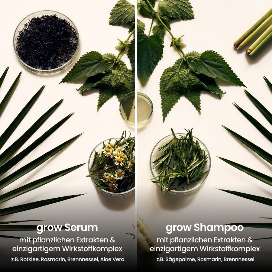 Inhaltsstoffe des fenou grow hair bundles, hormoneller haarausfall