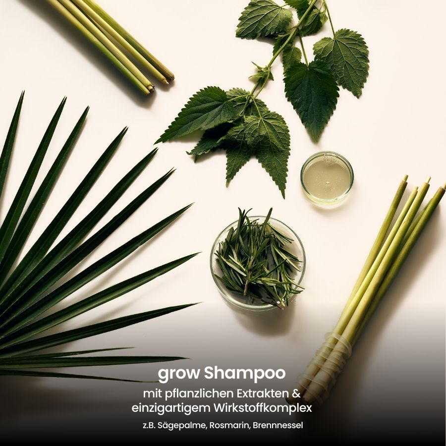 Inhaltsstoffe fenou grow Shampoo
