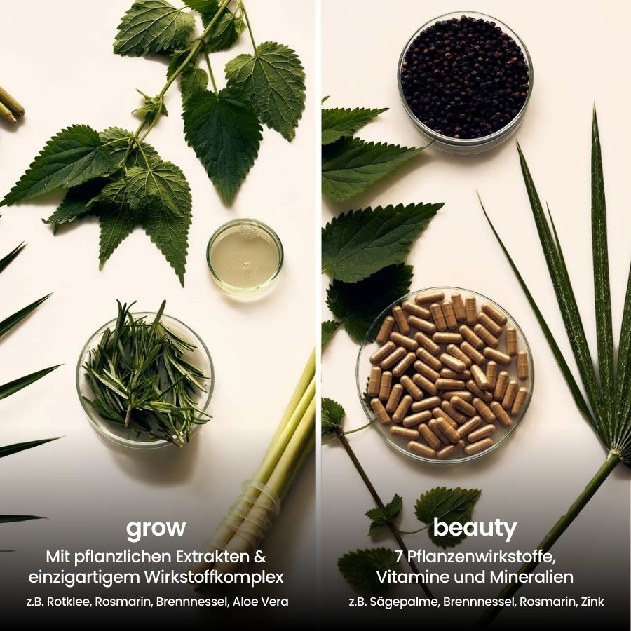 Inhaltsstoffe von fenou healthy hair bundle, haarausfall bei frauen