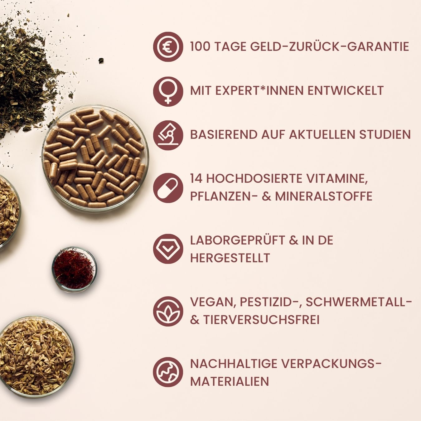 fenou Infographik Unser Versprechen