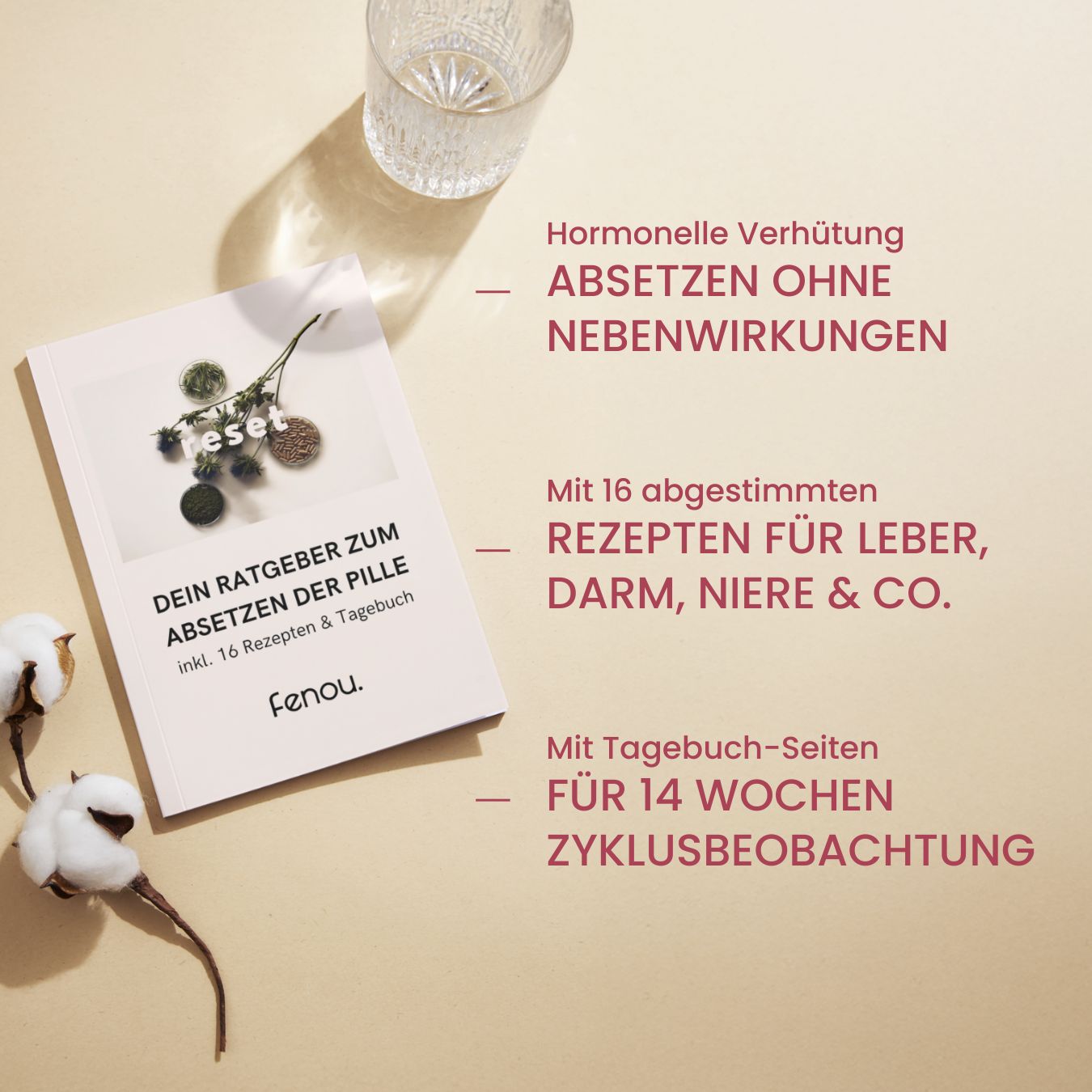 fenou ratgeber zum Absetzen der Pille