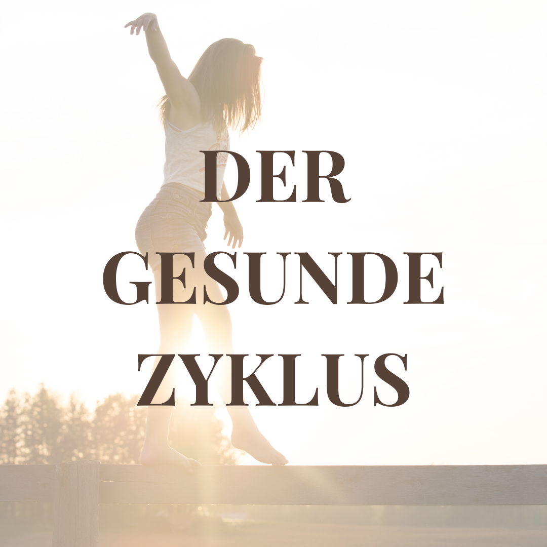 Gesunder-Zyklus-Hormonbalance-EVERYYIN-Zykluswissen-Zyklusphasen