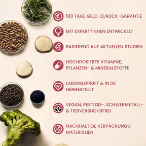 fenou Infographik Unser Versprechen