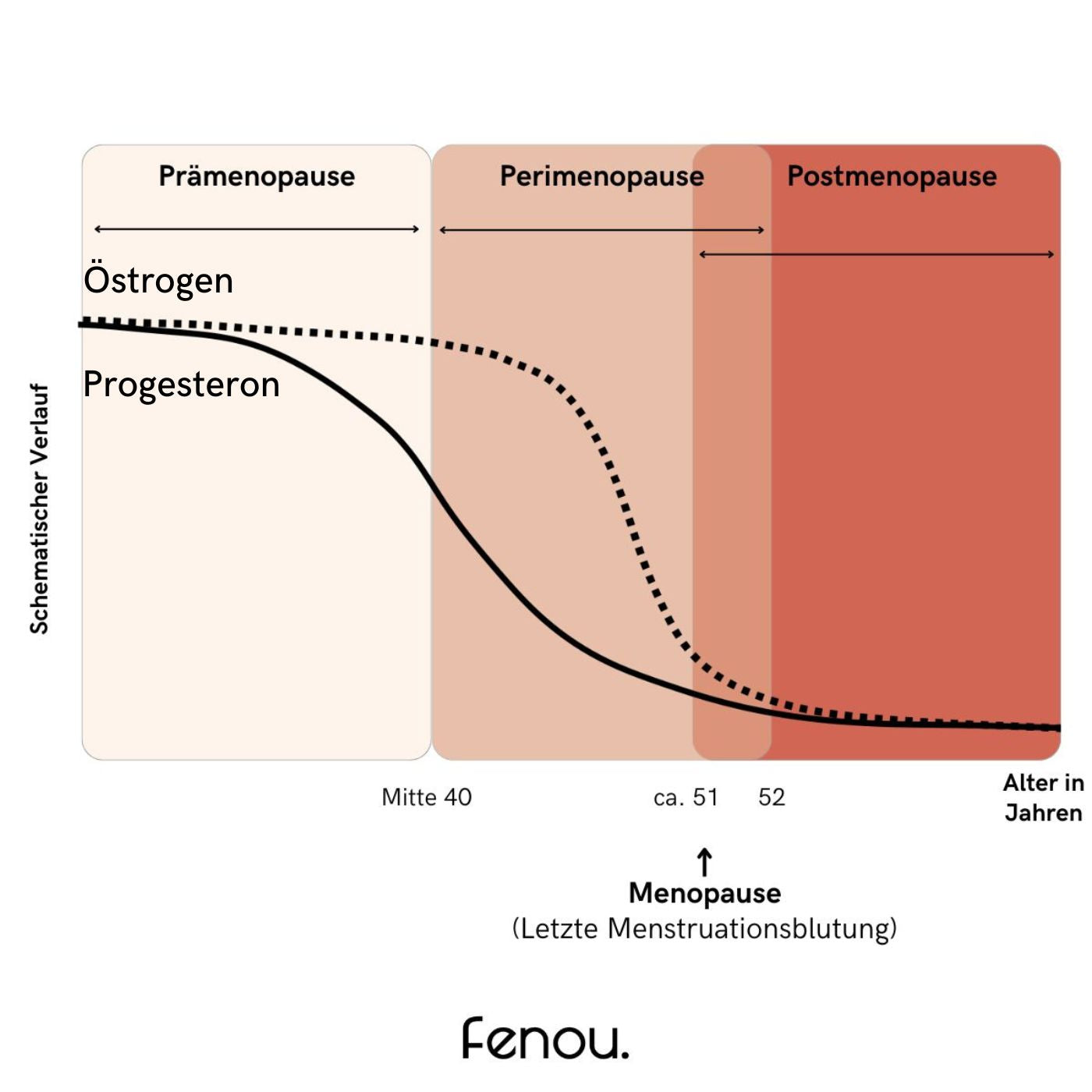 Abbildung Verlauf Hormone in den Wechseljahren für fenou balance x cycle bei Wechseljahresbeschwerden,Östrogenmangel und Progesteronmangel