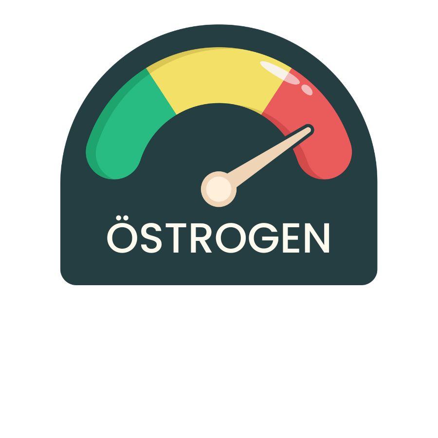Illustration Östrogenlevel