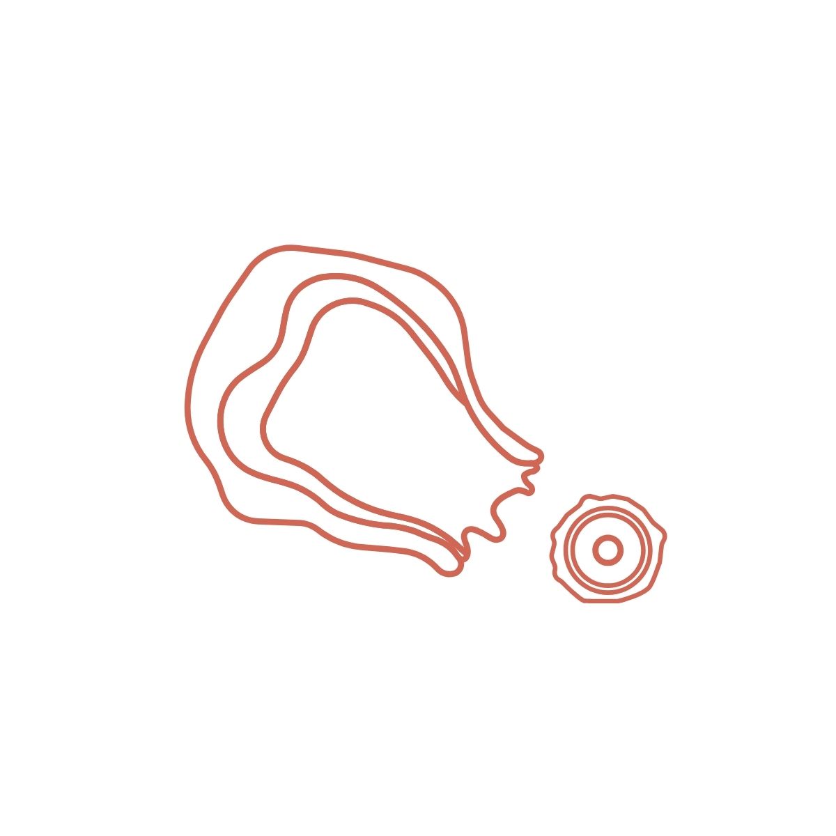 illustration des eisprunges mit follikel und eizelle