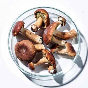 Pantothensäure (Vit. B5)