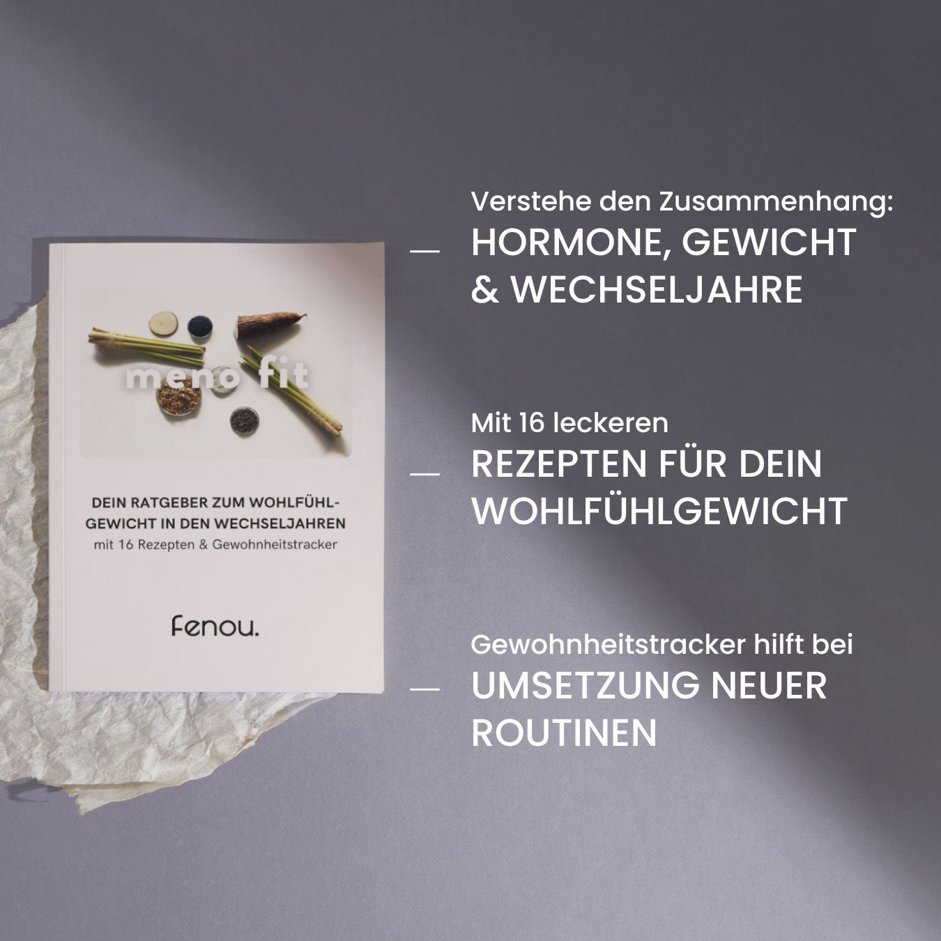 Graphik Inhalt des meno fit Ratgeber